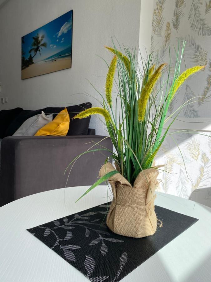 Sunshine Apartment Торевиеха Екстериор снимка